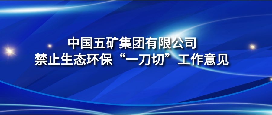 《中國(guó)五礦集團(tuán)有限公司禁止生態(tài)環(huán)?！耙坏肚小惫ぷ饕庖?jiàn)》